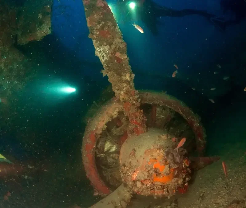 Epave Catalina