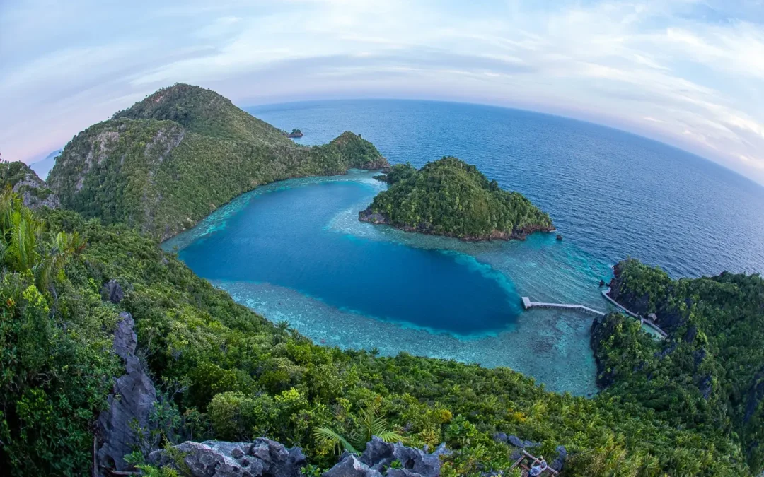 RAJA AMPAT – HALMAHERA – TERNATE 2023
